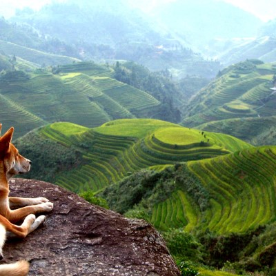 1920 x 1080 HD Wallpapers 1561